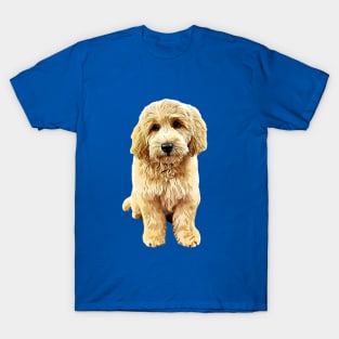 Goldendoodle Cute Puppy Eyes! T-Shirt